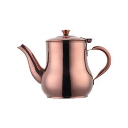 anygleam teapot stainless steel with filter for coffee, tea, oil