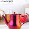 AnyGleam Teapot Stainless Steel With Filter For Coffee Tea Oil 6
