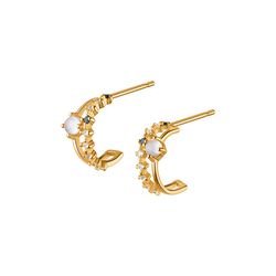 anyco fashion earrings gold 925 sterling silver elegant double glass