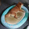 Anywags Pet Bed Blue Rattan Cooling Mat Kitten 3
