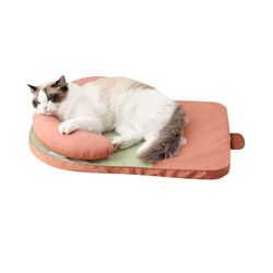 anywags pet bed kiwi fruit design medium washable