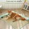 Anywags Pet Bed Yellow Bilateral Breathable Cooling Mat 4