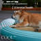 Anywags Pet Bed Orange Rabbit Rattan Cooling Mat 3