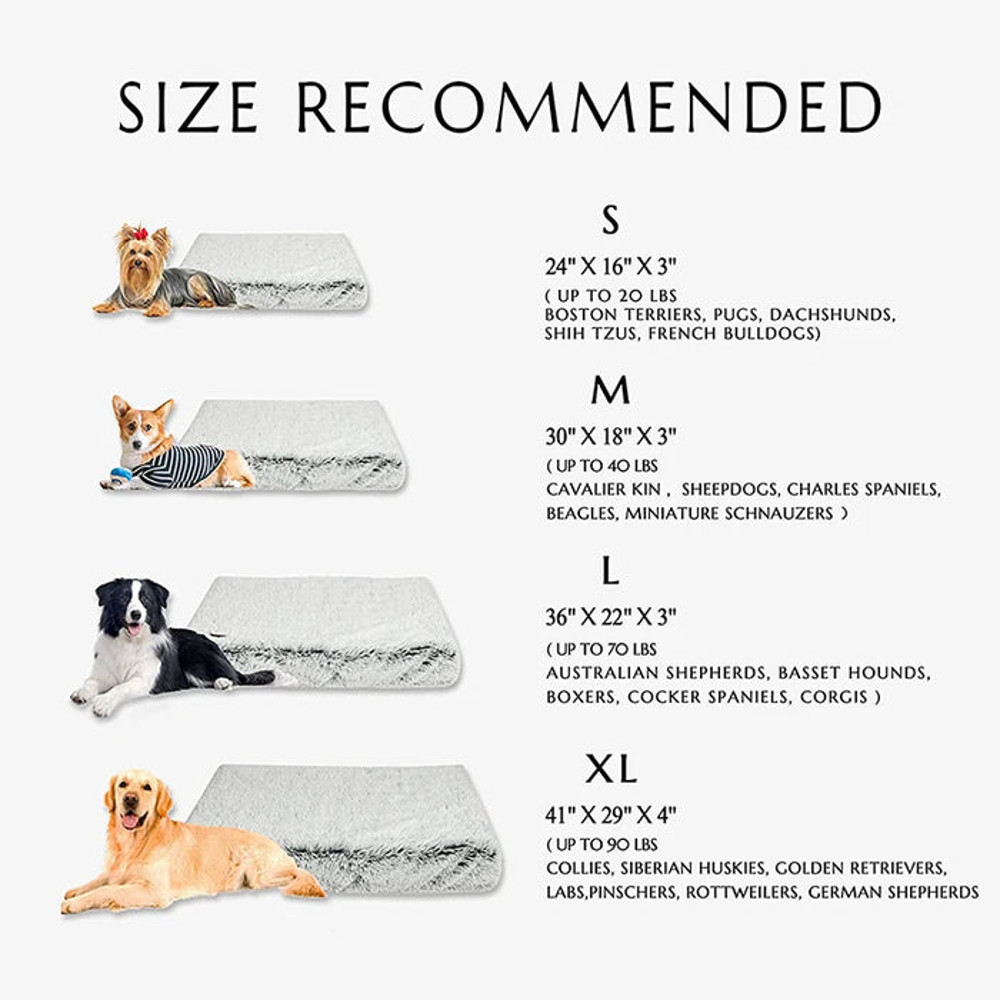 Anywags Pet Bed Dark Gray Removable Calming Soft 3