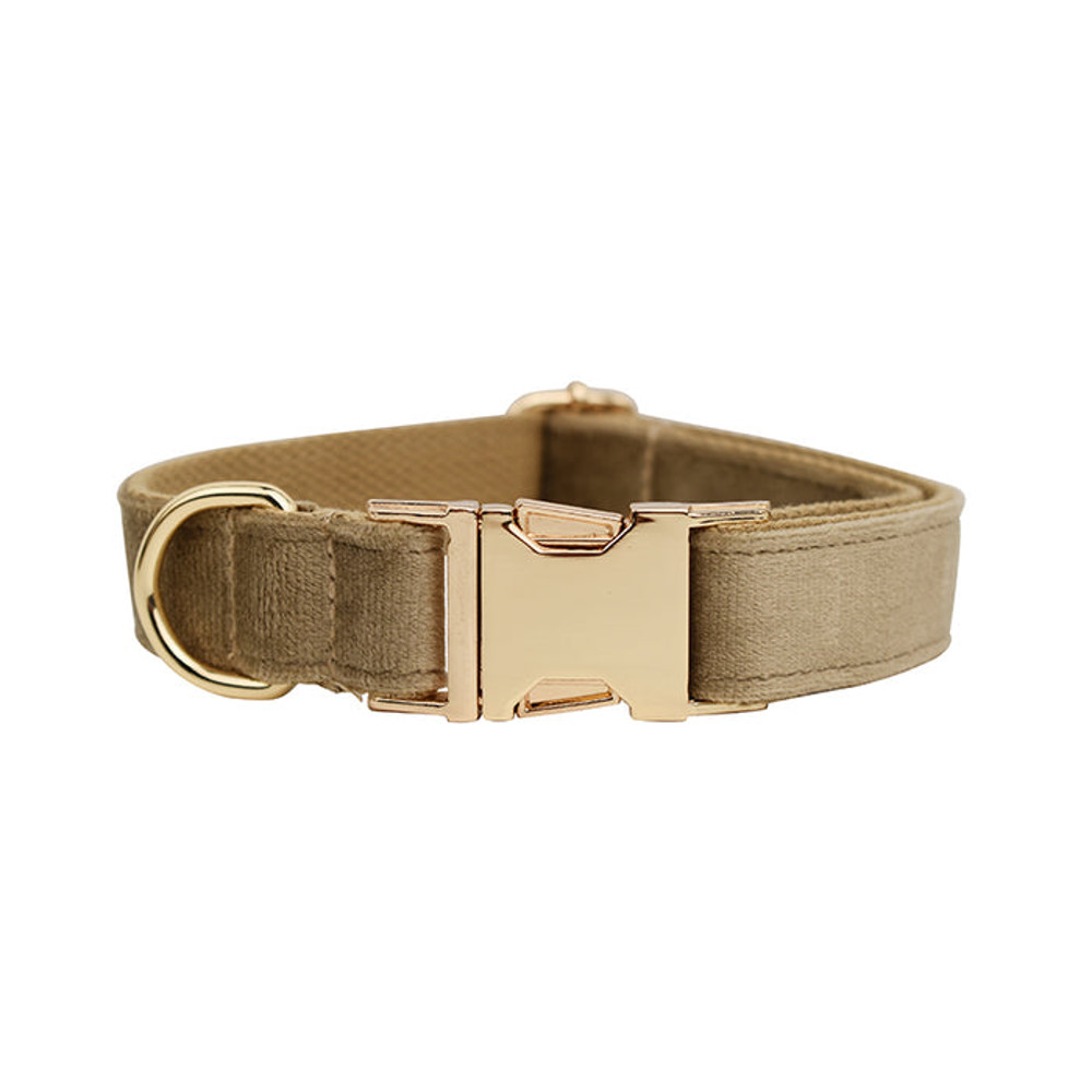 Anywags Pet Collar Beige Custom DIY Accessories 0