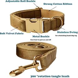 anywags pet collar and leash set beige high quality