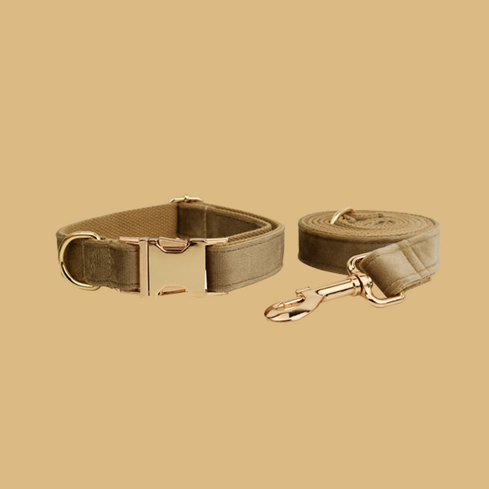 Anywags Pet Collar And Leash Set Beige High Quality 1