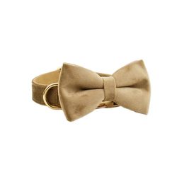 anywags pet bow collar beige high quality dog accessories
