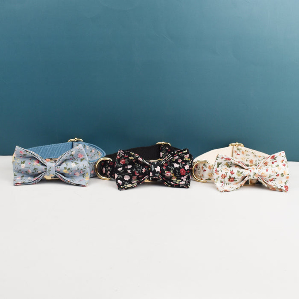 Anywags Pet Collar Powder Blue Stylish Accessory 2