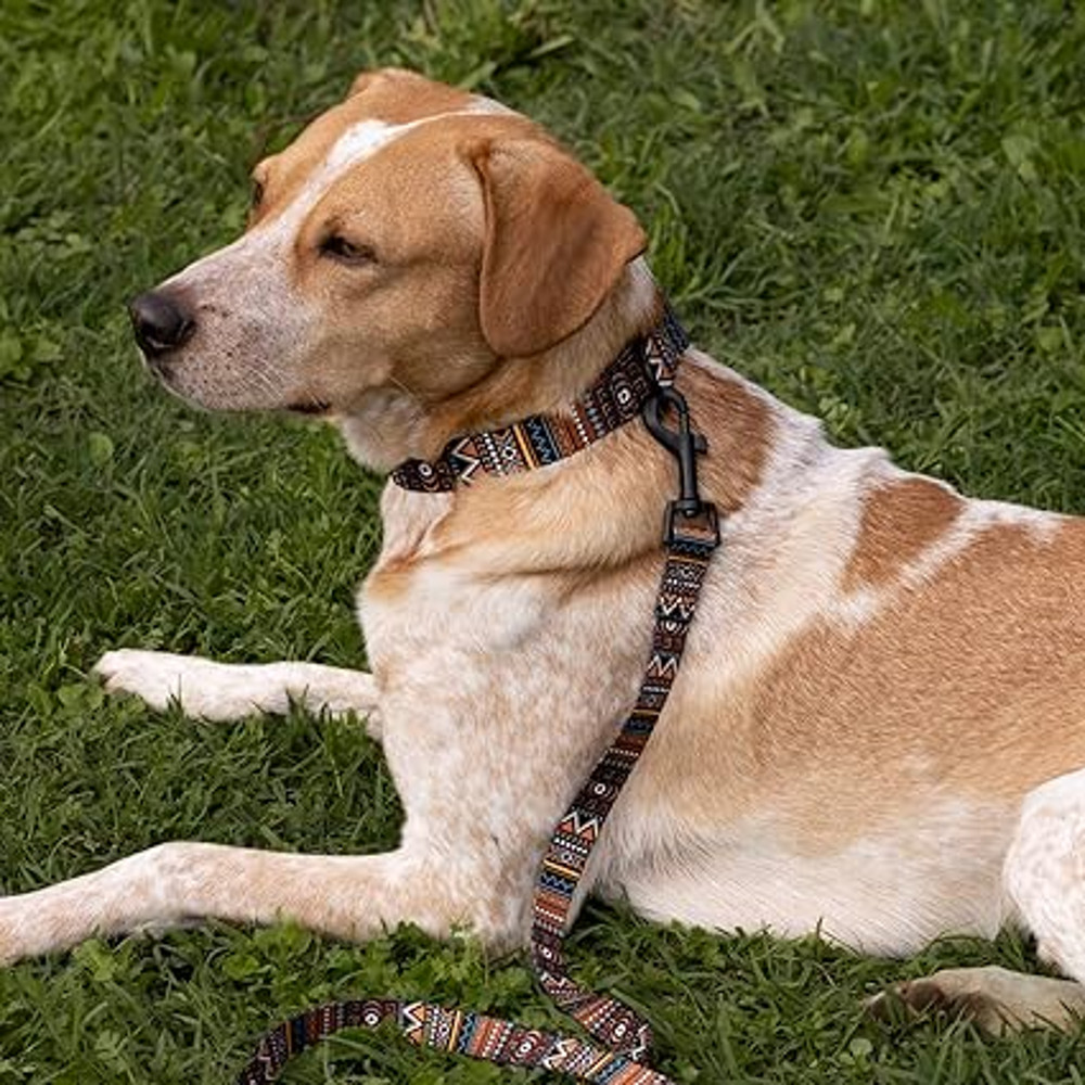 Anywags Pet Collar Multicolor Tribal Sytlish 2