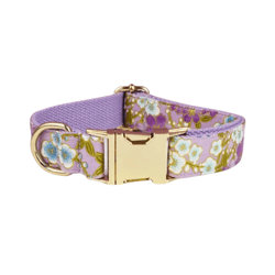 anywags pet collar purple floral stylish accessory