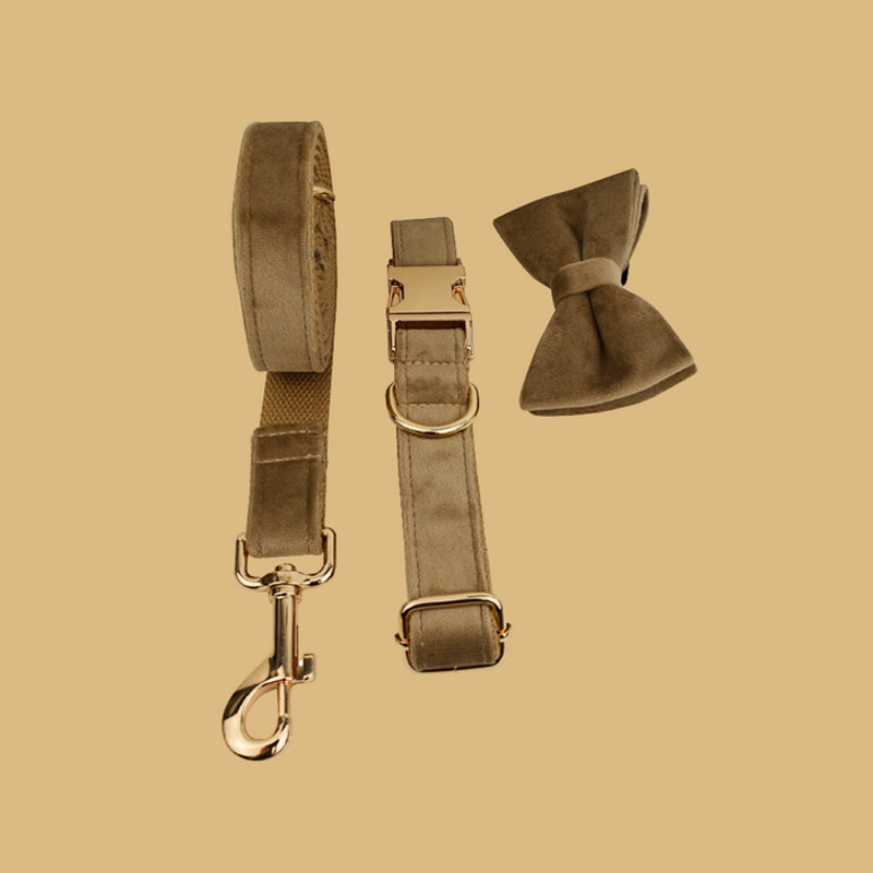 Anywags Pet Bow Collar Leash Set Beige High 1