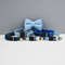 AnyWags Cat Collar Blue With Safety Buckle Bell 2