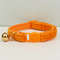 AnyWags Cat Collar Orange Large With Safety Buckle Bell 1