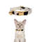 AnyWags Cat Collar Spotted Large With Safety Buckle Bell 0