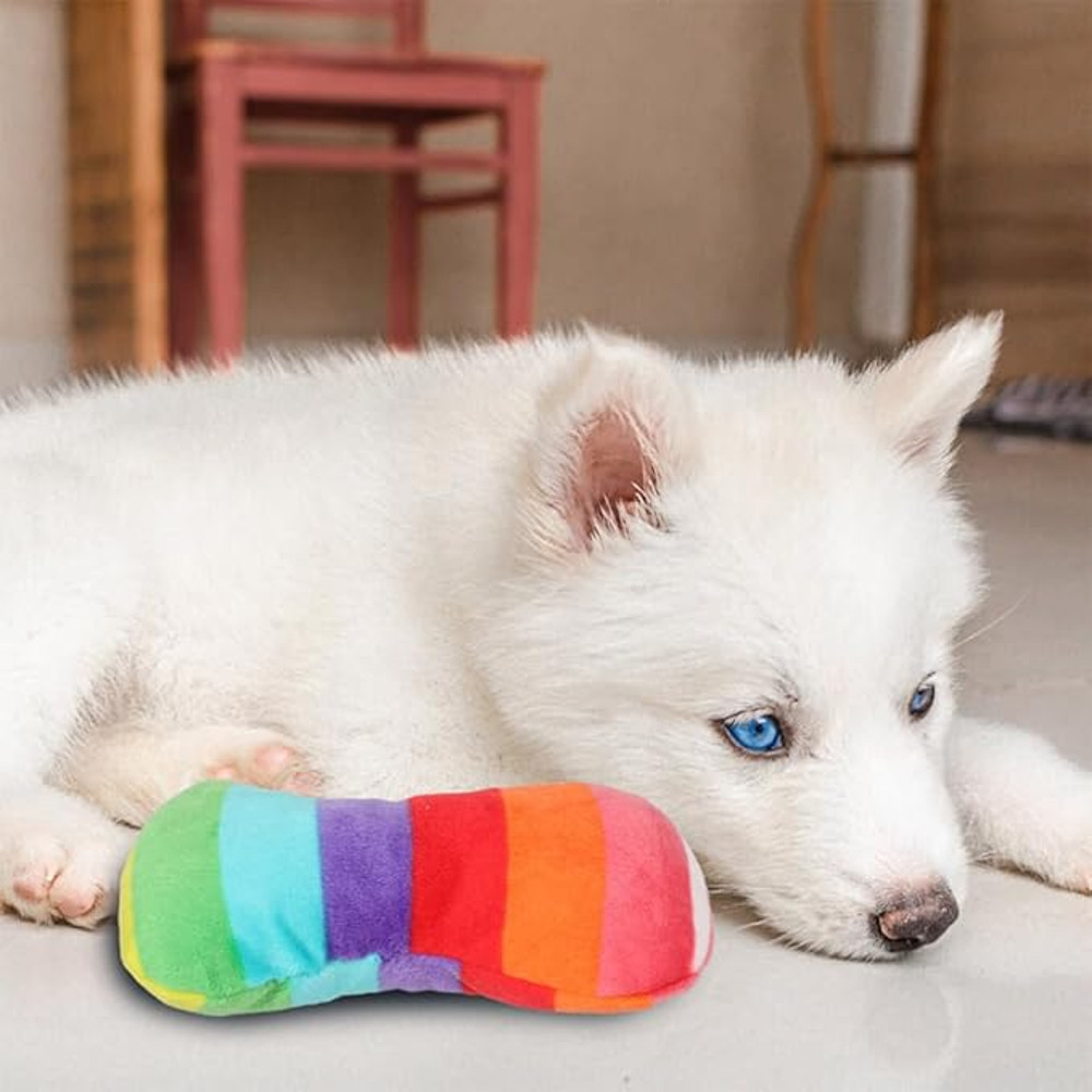 Anywags Pet Toys Rainbow Plush Pipe Slippers Squeaky 2