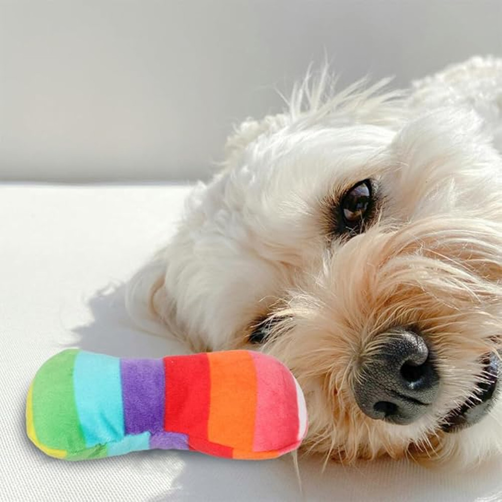 Anywags Pet Toys Rainbow Plush Pipe Slippers Squeaky 1