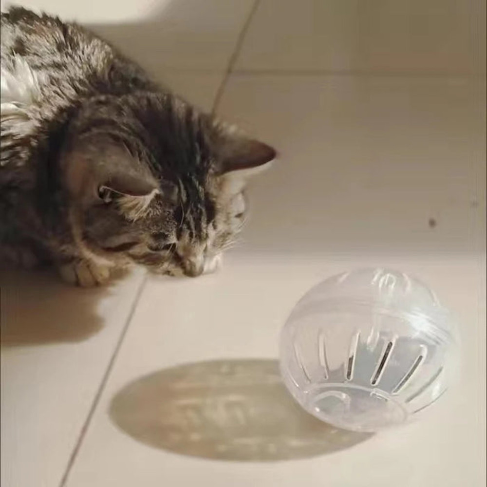 Anywags Pet Toys White Hamster Mouse Soft Running Ball 3