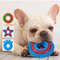 Anywags Pet Toys Safety Rubber Teething Star Chew For Dogs 1