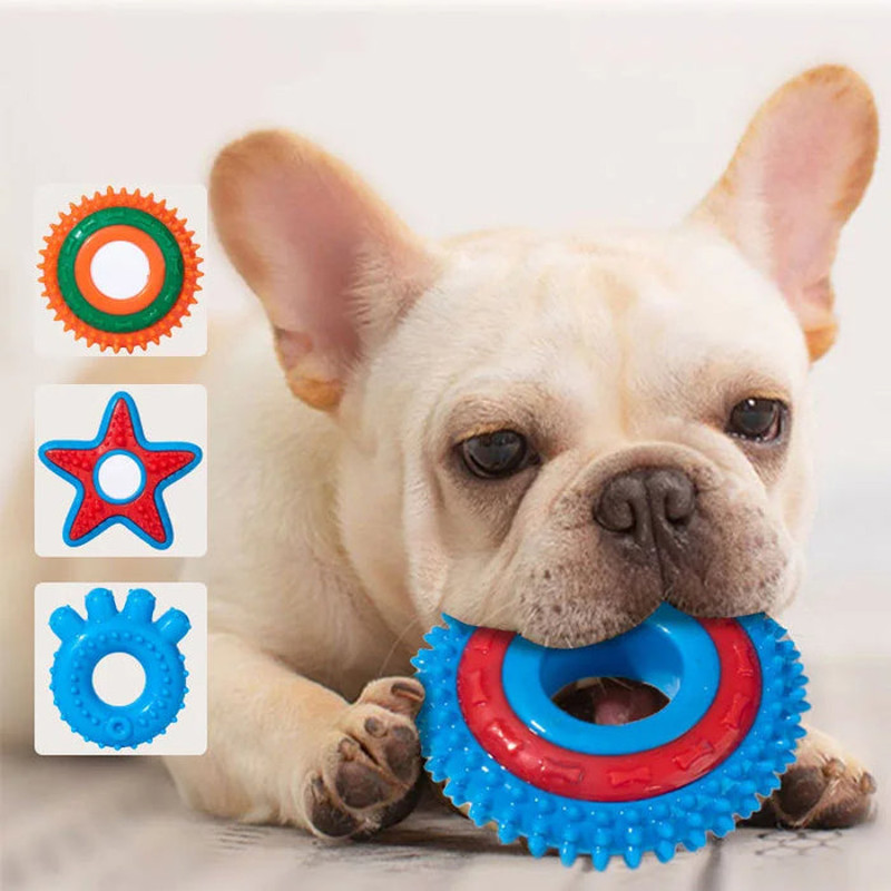 Anywags Pet Toys Safety Rubber Teething Star Chew For Dogs 1