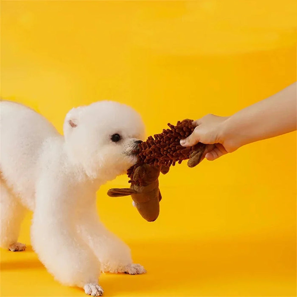 Anywags Pet Toys Brown Plush Squeaky Dog Soft Play Gear 4