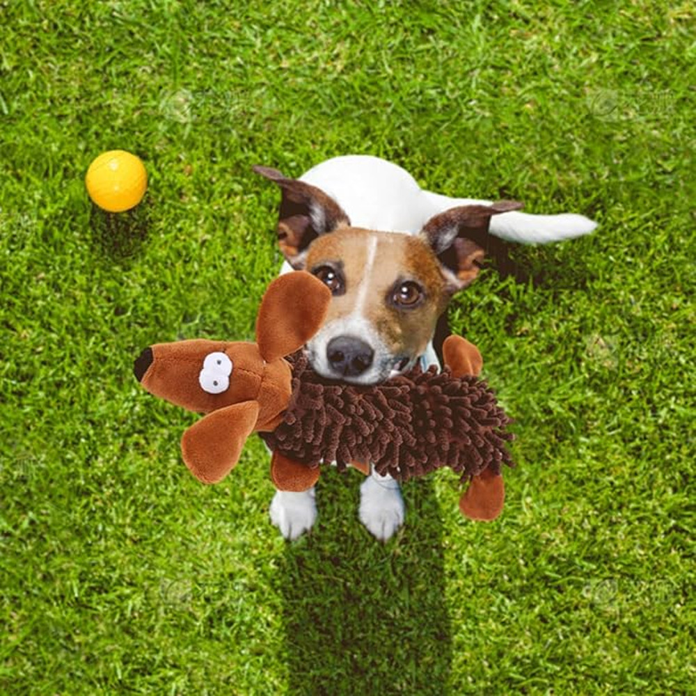 Anywags Pet Toys Brown Plush Squeaky Dog Soft Play Gear 2