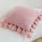 SOGA 2X 45cm Textured Pillowcase With PomPom Trim Soft Pink 6