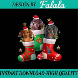 PNG ONLY Dachshund Christmas Stocking Png, Funny Xmas Dog Lover Png, Christmas Png, Digital Download