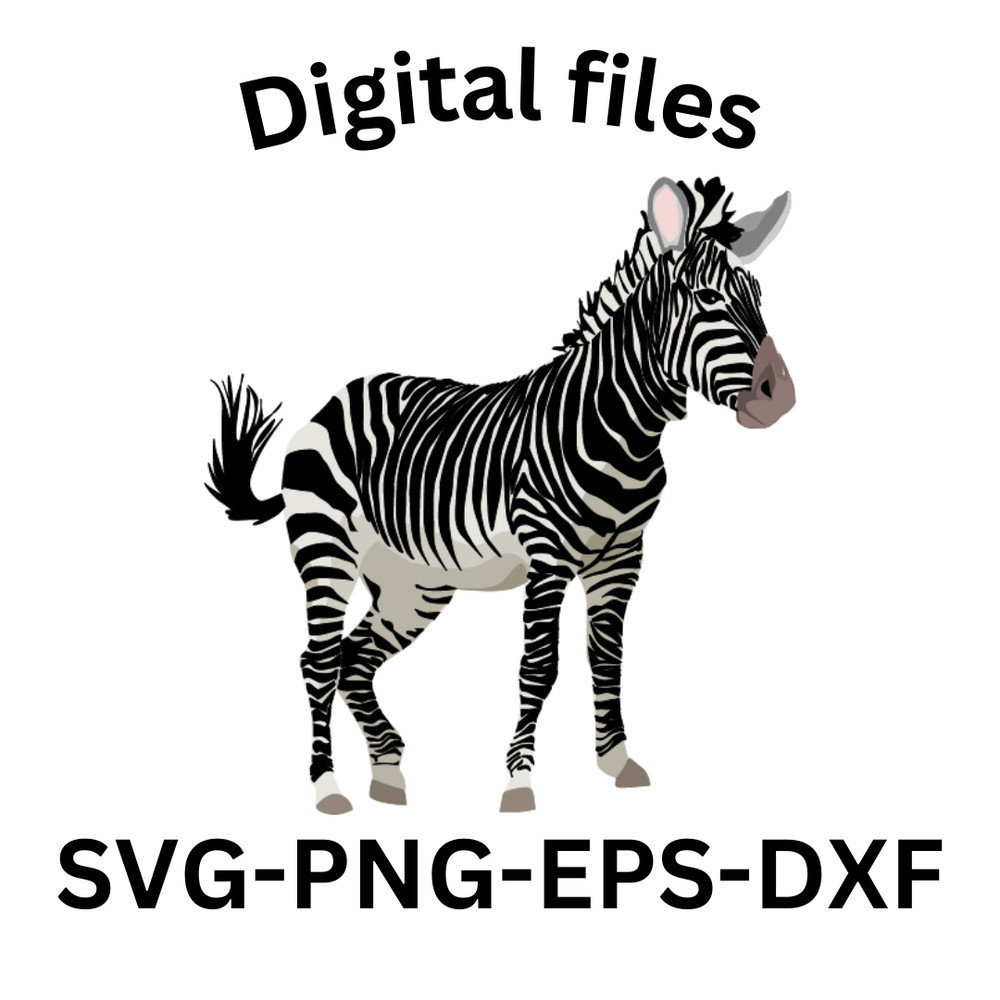 Color Zebra Animal Svg 0