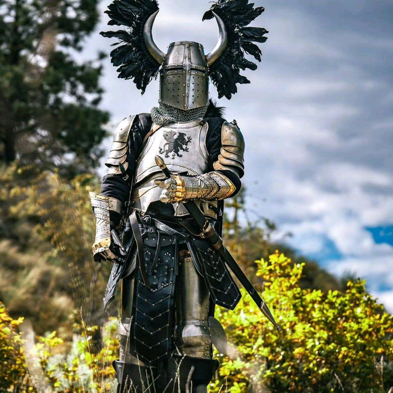 Medieval Templar Horned Back Plums Full Armor Fantasy Crusader Warrior Armor Handmade Fully Func 2