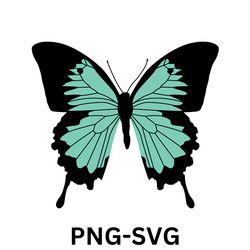 butterfly svg bundle, butterfly svg, butterfly svg layered, butterfly clipart, butterfly, butterfly template, cut file.