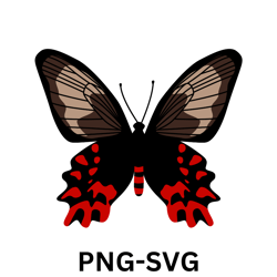 butterfly svg bundle, butterfly svg, butterfly svg layered, butterfly clipart, butterfly, butterfly template, cut file .