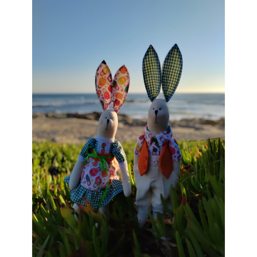 IMG_20240701_201012 (1).jpg