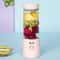Portable Mini Juicer Wireless Charging Personal Smoothie Blender 2