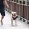 Reflective Dog Leash With Padded Handle For Medium And Large Dogs 5