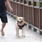 Reflective Dog Leash With Padded Handle For Medium And Large Dogs 5