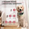 Rechargeable Waterproof Anti Bark Dog Trainer Collar 6
