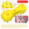 Bite Resistant Dog Toothbrush Toy Molar Stick For Medium And Large Dogs 4