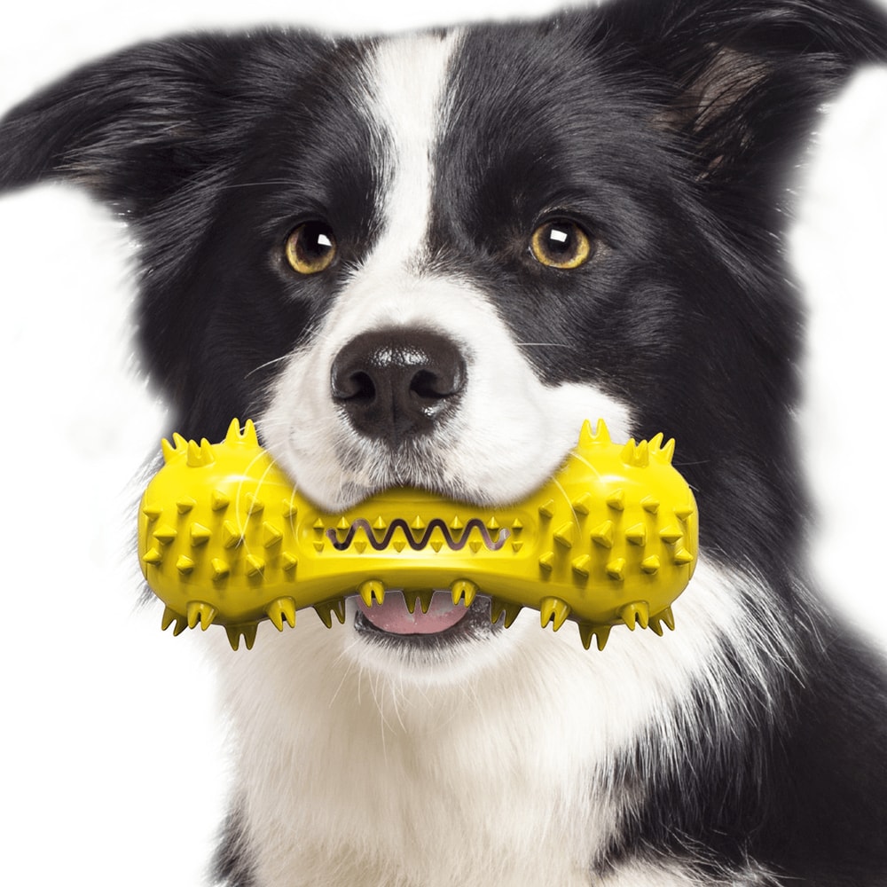 Bite Resistant Dog Toothbrush Toy Molar Stick For Medium And Large Dogs 8