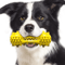 Bite Resistant Dog Toothbrush Toy Molar Stick For Medium And Large Dogs 8