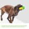 Suction Cup Dog Toy Corn Dog Toothbrush Toy for Chewing and Dental Cleaning