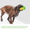 Suction Cup Dog Toy Corn Dog Toothbrush Toy for Chewing and Dental Cleaning