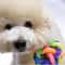 Colorful Weave Bell Ball Interactive Pet Toy for Dogs and Cats