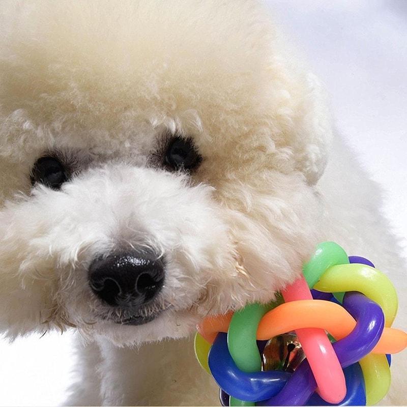 Colorful Weave Bell Ball Interactive Pet Toy for Dogs and Cats