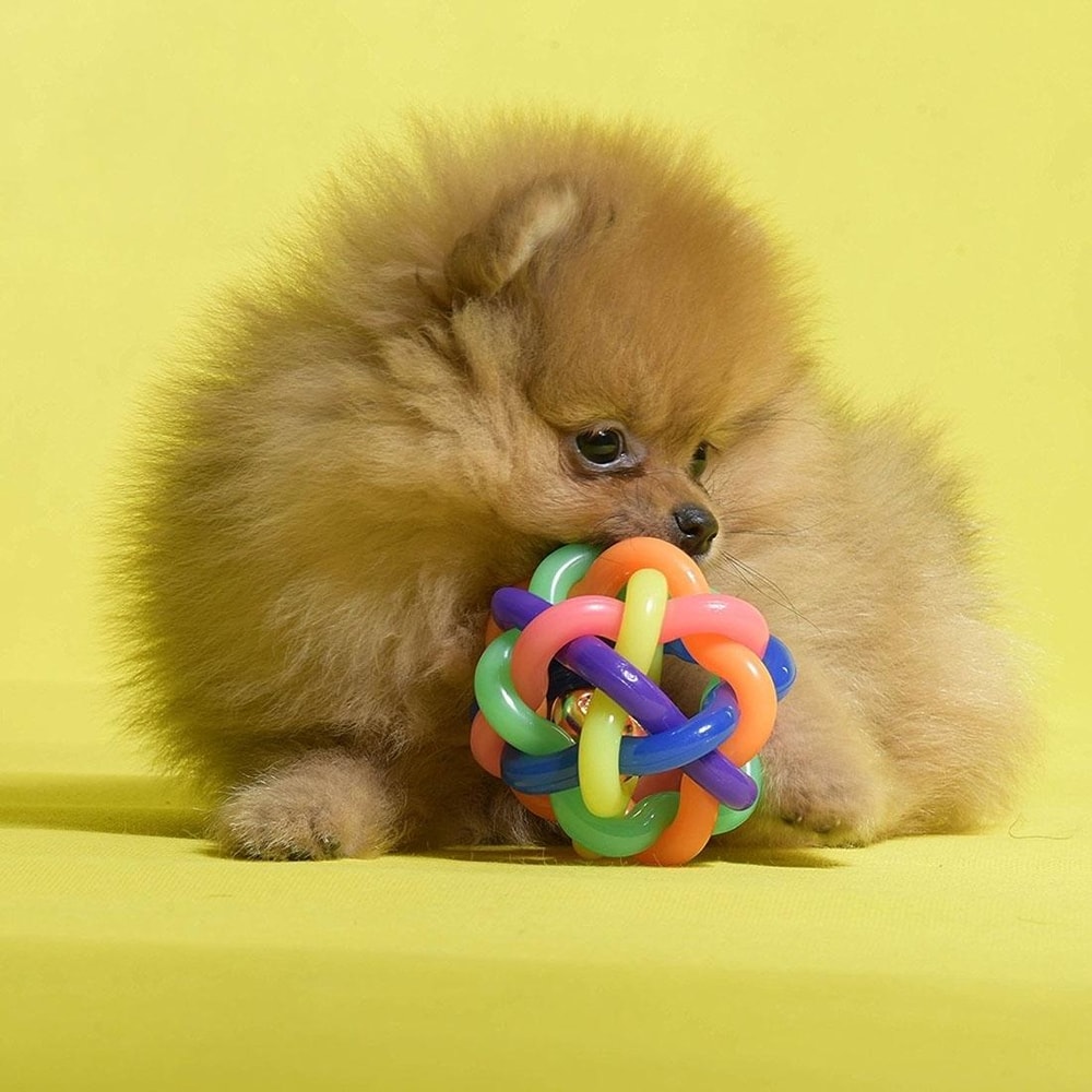 Colorful Weave Bell Ball Interactive Pet Toy for Dogs and Cats