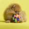 Colorful Weave Bell Ball Interactive Pet Toy for Dogs and Cats
