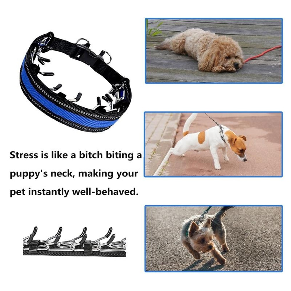 Adjustable Dog Training Chain Collar For Small Dogs 3
