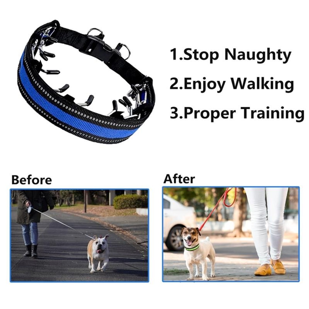 Adjustable Dog Training Chain Collar For Small Dogs 4