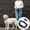 Adjustable Dog Training Chain Collar For Small Dogs 5
