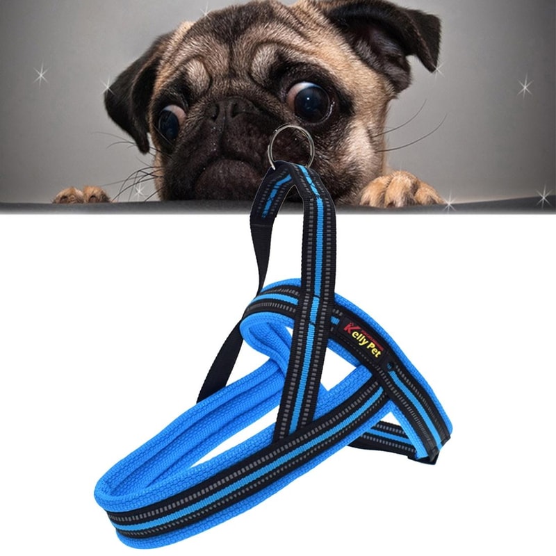 Reflective Dog Harness With Leash For Safe Big Dog Walks 1